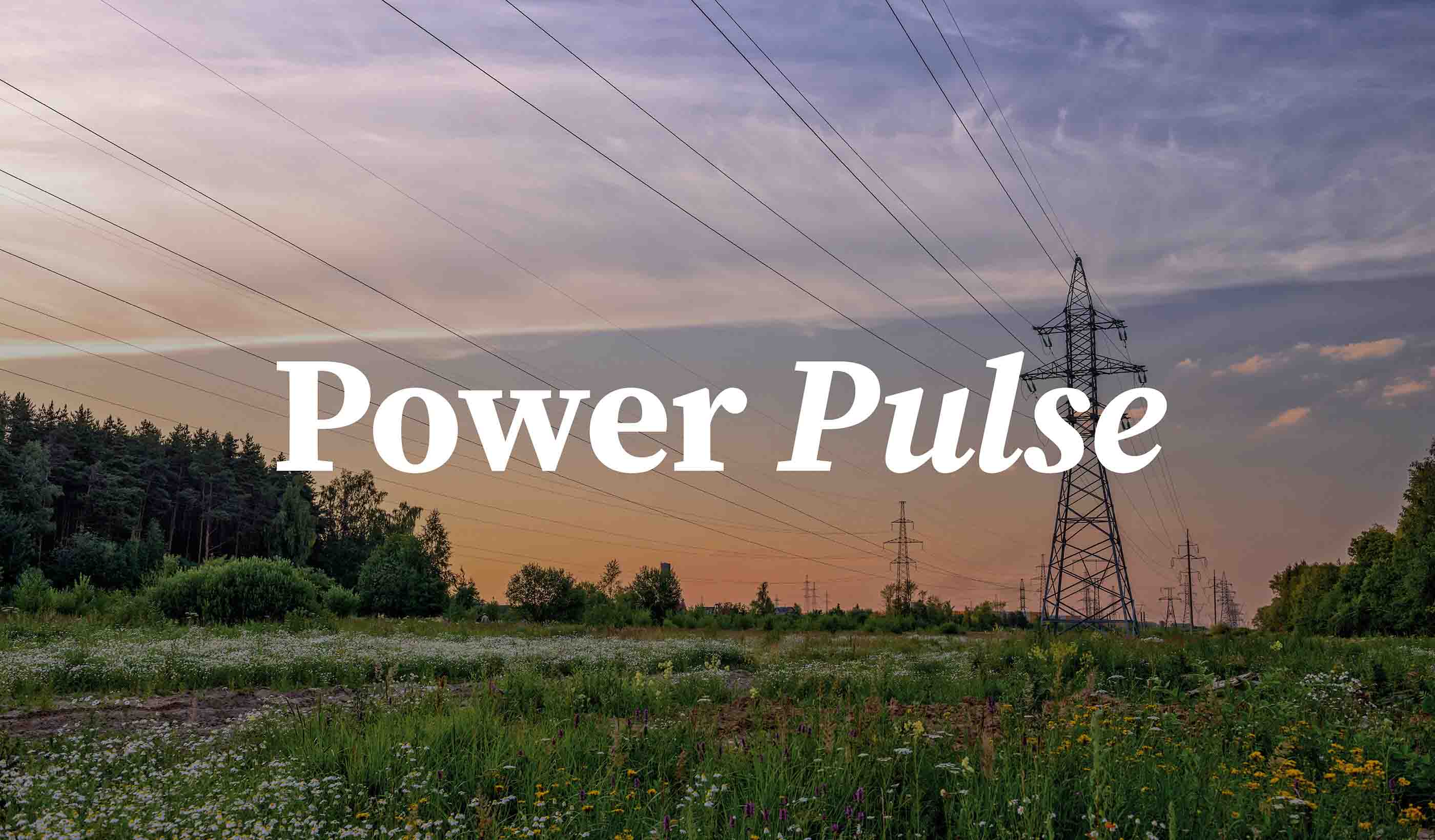 Power Pulse │ May 2025